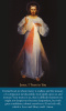 Large Print Divine Mercy Prayer Card